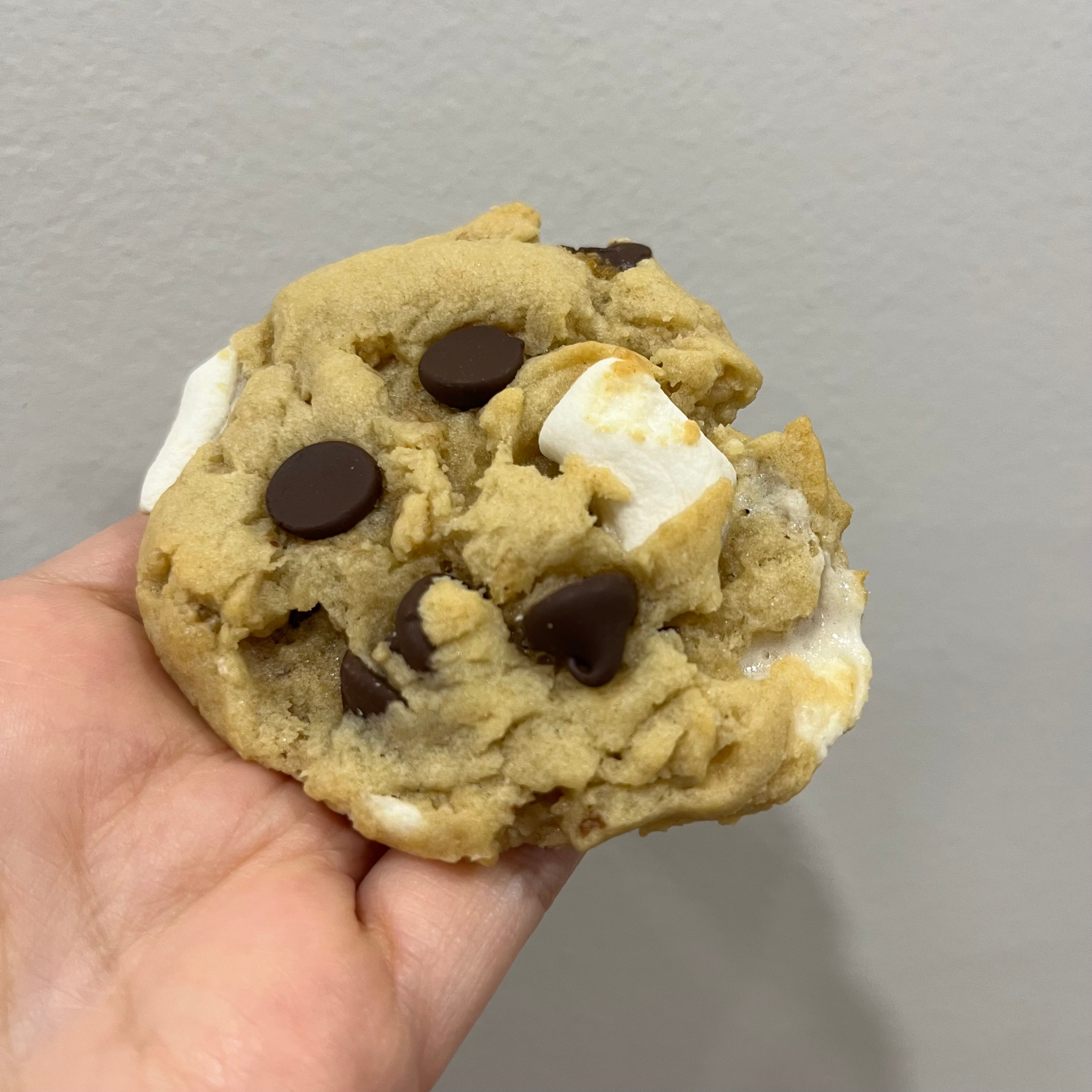 Chocolate chip adventure cookies - 5 pack