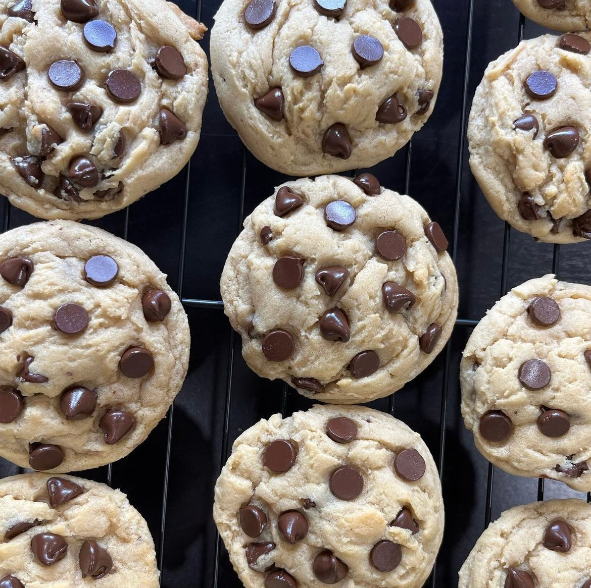 Chocolate Chip Cookies (5 pack)